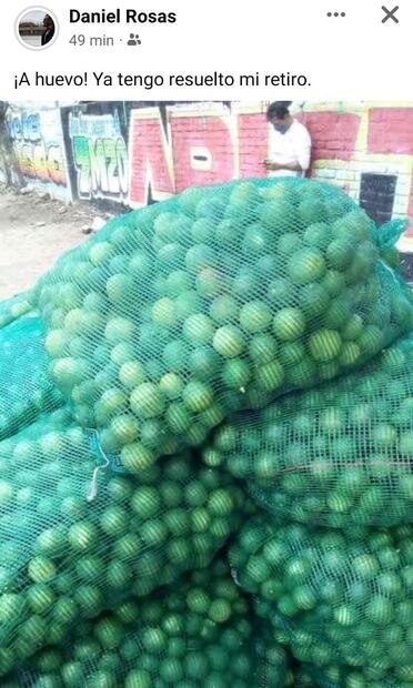 ¡A 70 el kilo de limón! Los 10 mejores memes del aumento de precio 