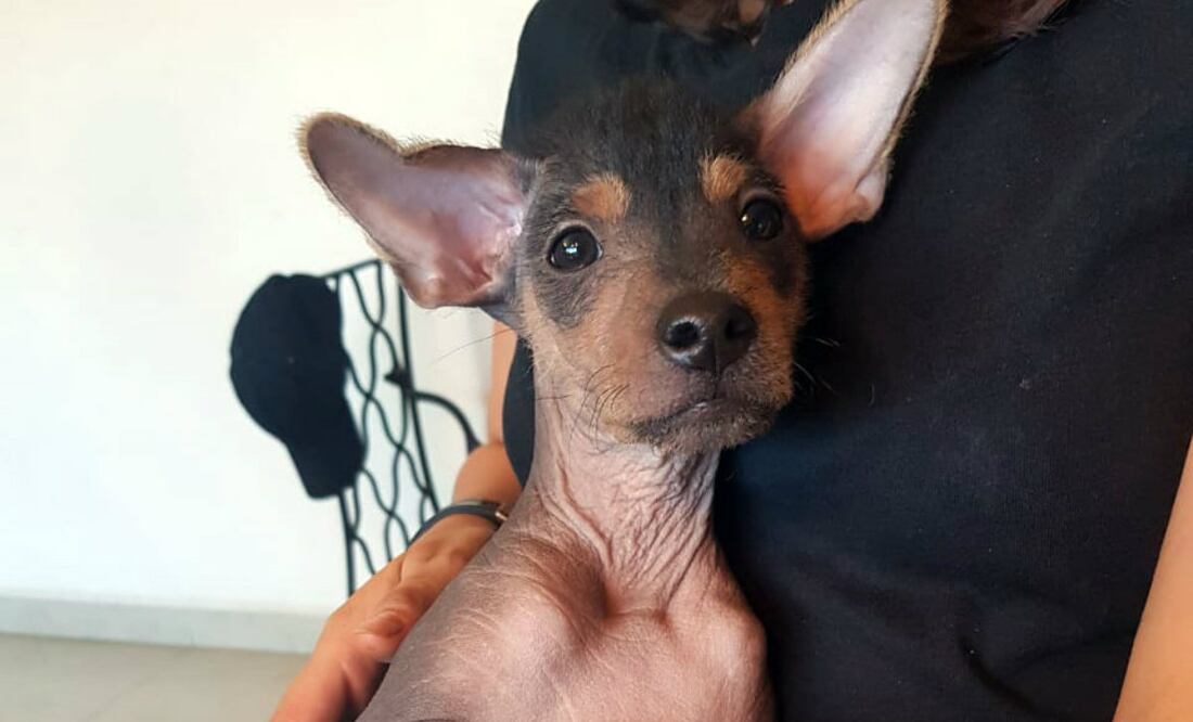 Foto: Germán Sánchez/ De10.mx