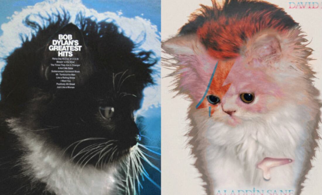Foto: Alfra Martini / The Kitten Covers