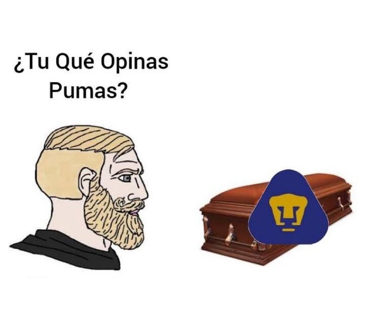 Pumas MEMES