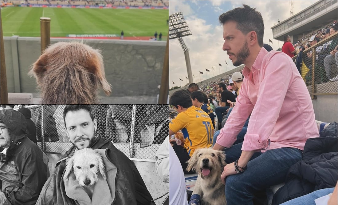 Pepe Del Bosque presumió a 'Goya' tras rescatarla. FOTOS: @PepedelBosque