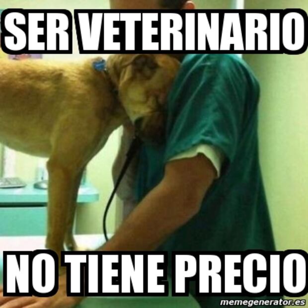 Los 10 mejores memes para festejar el  Día del Veterinario