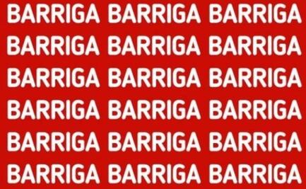 Sólo una mente brillante puede encontrar la palabra BARRICA en solo 7 segundos