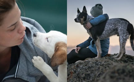 5 hermosas historias en los que un perrito cambió la vida de una persona