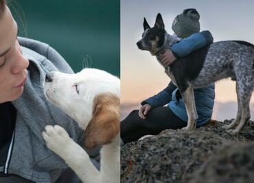 5 hermosas historias en los que un perrito cambió la vida de una persona