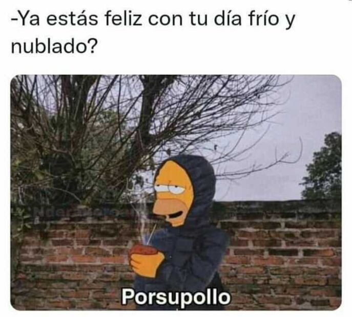 10 memes que nos representan en esta época de frío en México