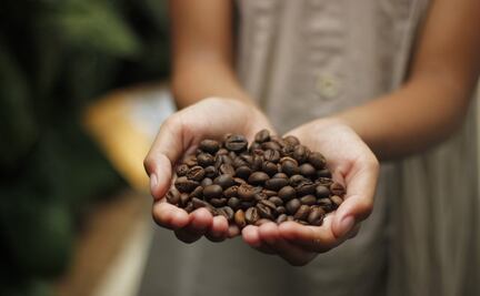 5 cosas que no sabías de la cultura cafetalera de Oaxaca