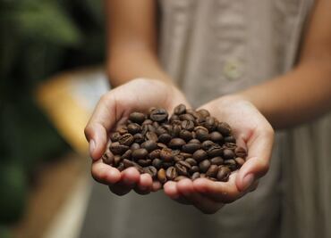 5 cosas que no sabías de la cultura cafetalera de Oaxaca