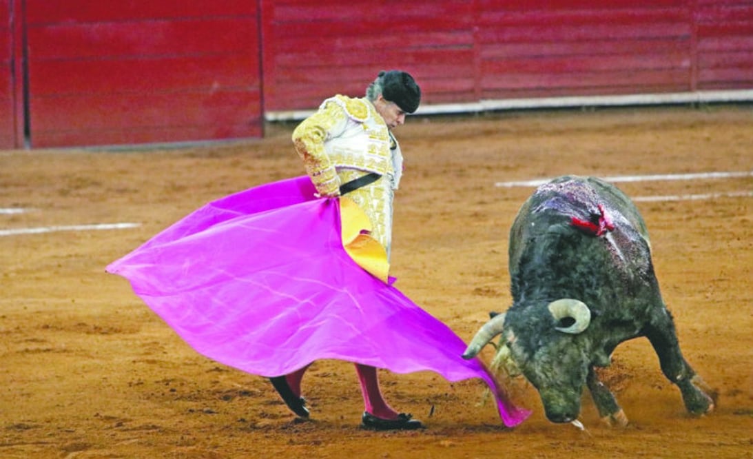 Foto: Ricardo Hernandez/El Universal