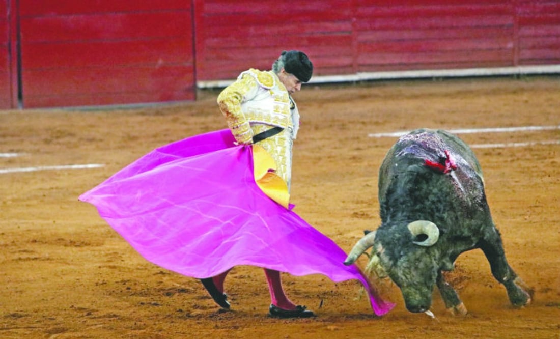 Foto: Ricardo Hernandez/El Universal