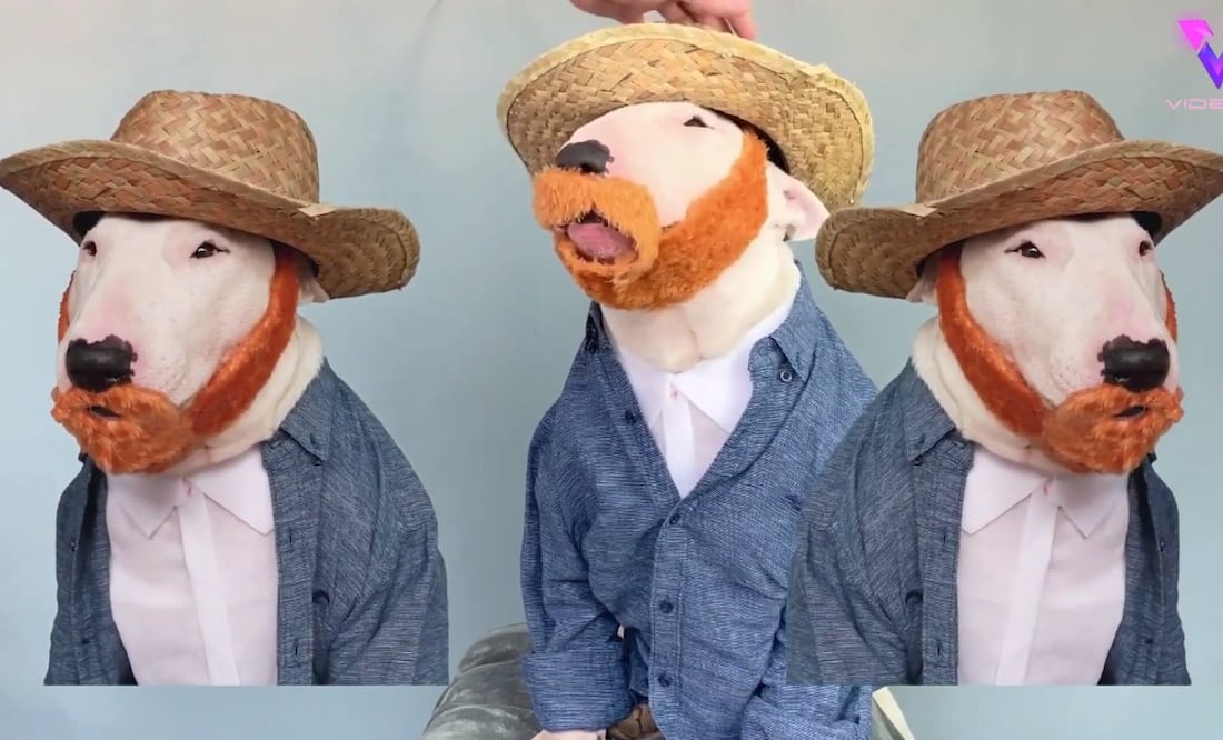 Imagen de YouTube Videlo