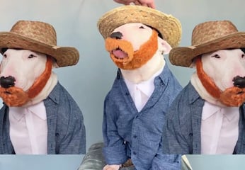 Video: Este perrito Bull Terrier es el mejor imitador de obras de arte