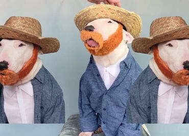 Video: Este perrito Bull Terrier es el mejor imitador de obras de arte
