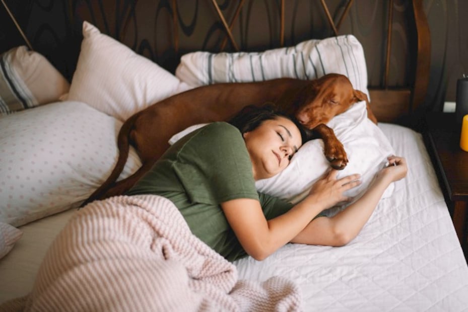 Las enfermedades que podrías contraer si tu mascota duerme contigo