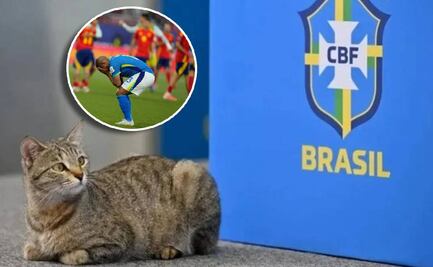 Brasil fue eliminada del Mundial Sub 20 tras caer ante España ¿Fue culpa de la 'maldición del gato'?