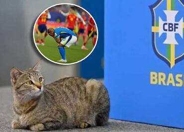 Brasil fue eliminada del Mundial Sub 20 tras caer ante España ¿Fue culpa de la 'maldición del gato'?