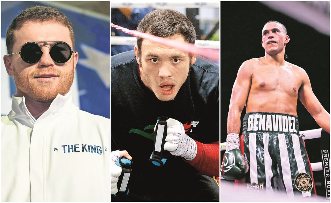 Canelo Álvarez, Chávez Jr. y David Benavidez / FOTOS: AP, Interna y AFP