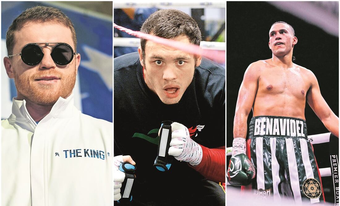 Canelo Álvarez, Chávez Jr. y David Benavidez / FOTOS: AP, Interna y AFP