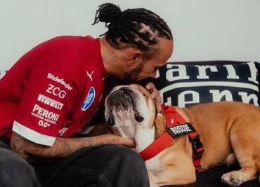 Lewis Hamilton dice que la muerte de su perro Roscoe es "Una de las experiencias más dolorosas; Perdí a mi mejor amigo"