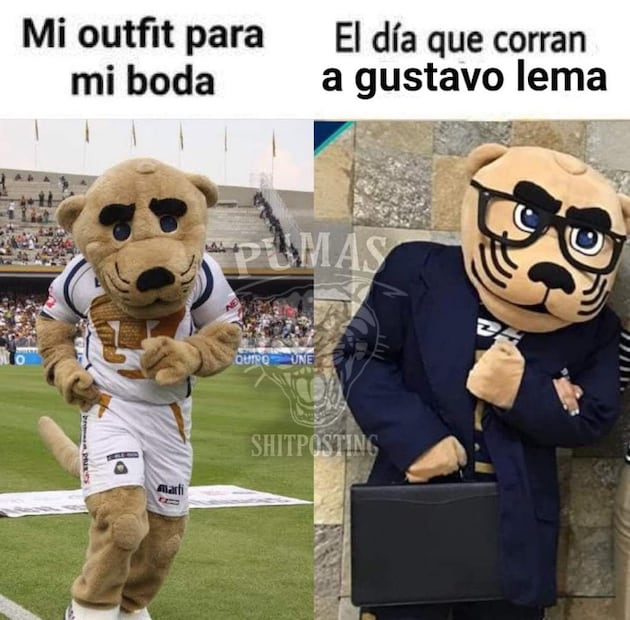Pumas MEMES