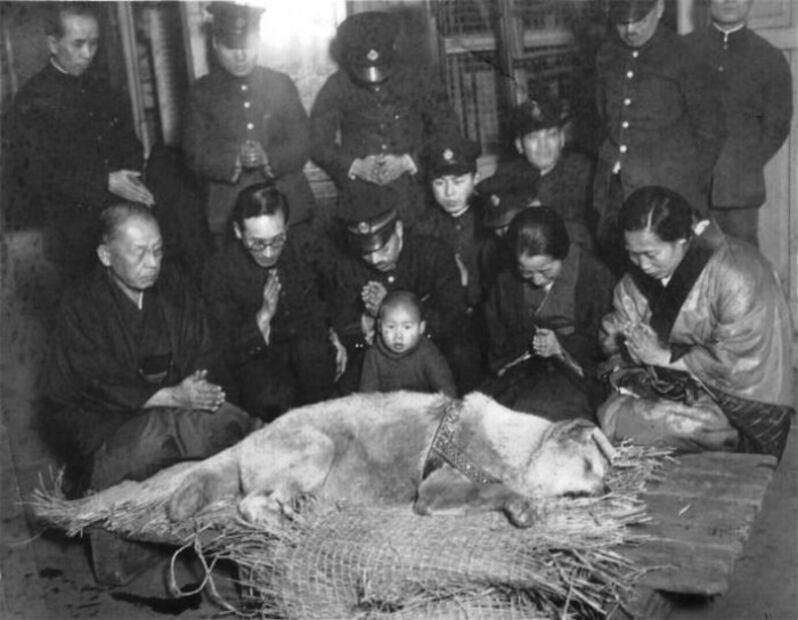 Hachiko, el perro que se convirtió en la leyenda más hermosa de lealtad