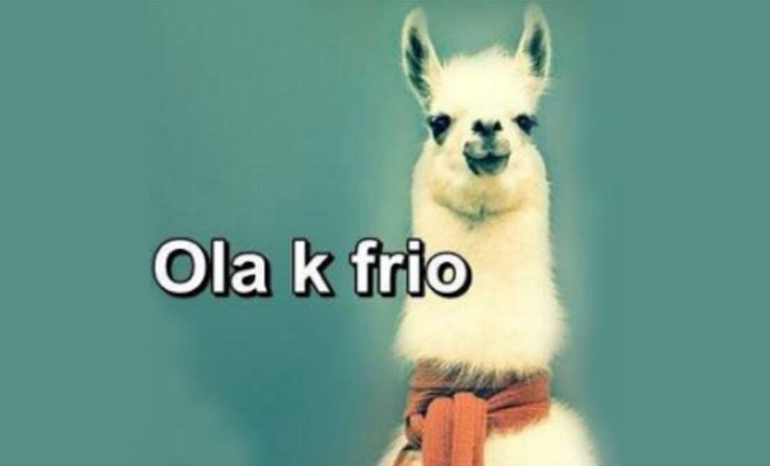 10 cosas que DEBES saber sobre el Frente Frío #10 en México