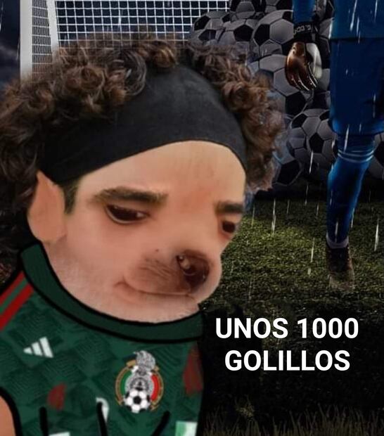 Meme Guillermo Ochoa y sus mil goles recibidos