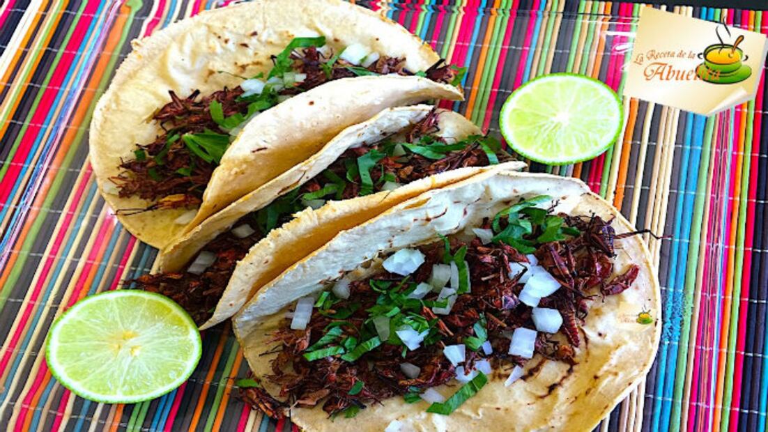 Chapulines, el “súper ingrediente” que podría alimentar a 9 millones de personas