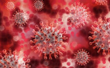 ¿Cuánto tiempo tarda en incubar el coronavirus?