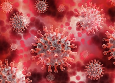 ¿Cuánto tiempo tarda en incubar el coronavirus?