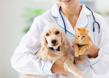 Hospital Veterinario de la CDMX, que es público, reabre sus puertas
