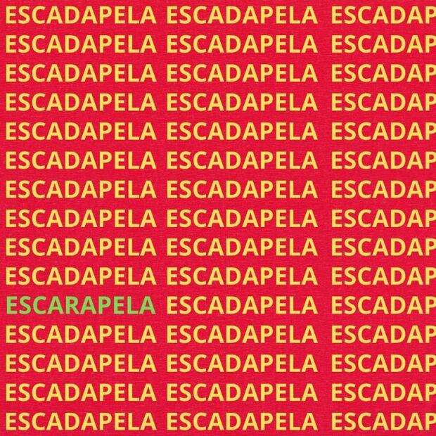 Desafía tu mente con el nuevo reto de sopas de letras sobre 'Escarapela'. Fuente: Genial Guru