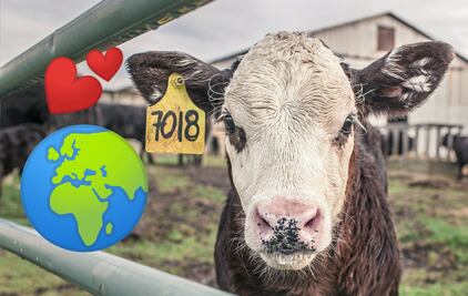 5 razones por las que ser vegano podría salvar el planeta