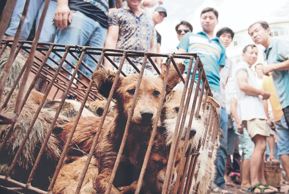 Foto: Chinatopix vía AP