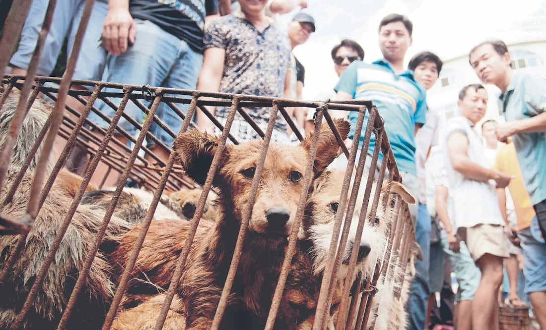 Foto: Chinatopix vía AP