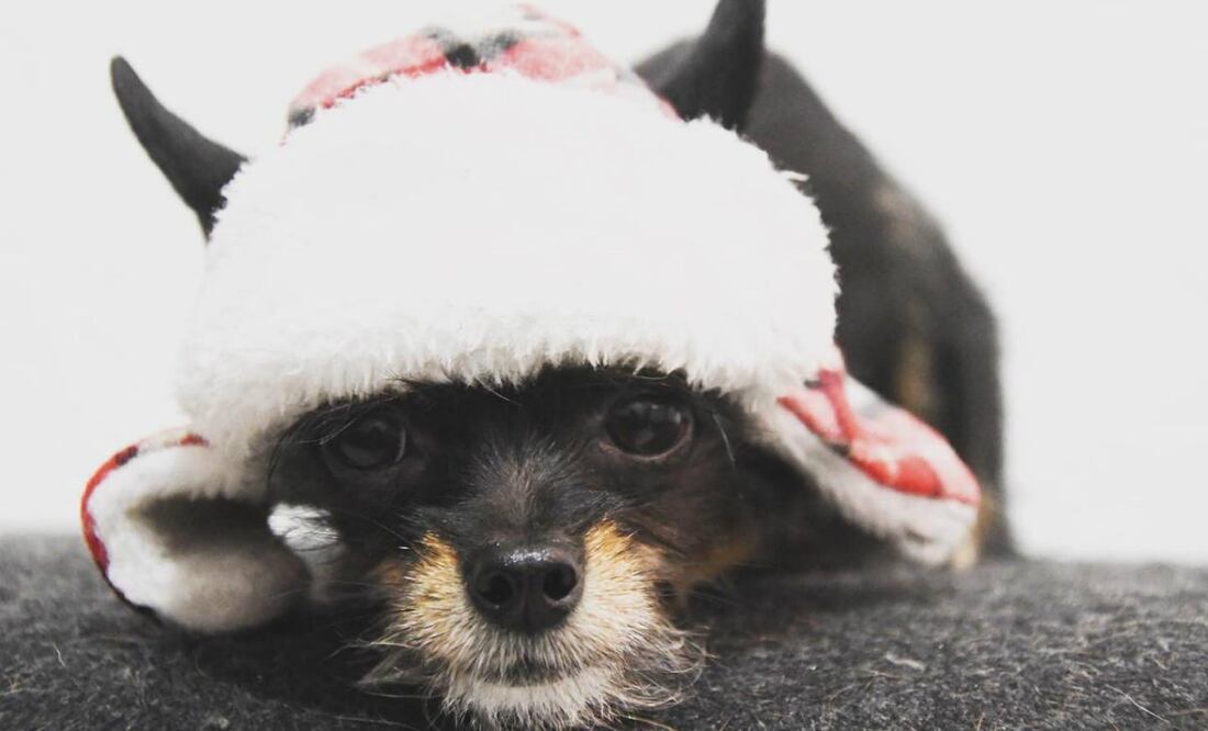 Foto: Perla Rabiela/ De10.mx