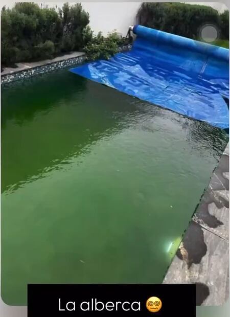La alberca tenía un color verde debido a que no le dieron mantenimiento. Foto: Especial