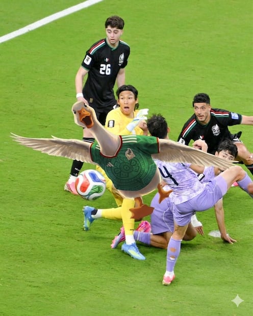 México vence a Corea de Sur y los MEMES inundaron las redes sociales. FOTOS: Especiales