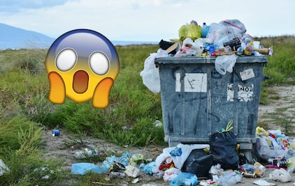 ¿Sabías que las bolsas de plástico fueron creadas para salvar el planeta?