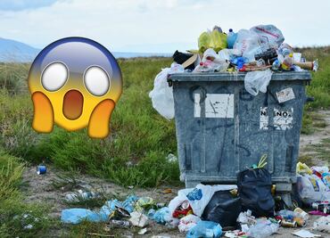 ¿Sabías que las bolsas de plástico fueron creadas para salvar el planeta?