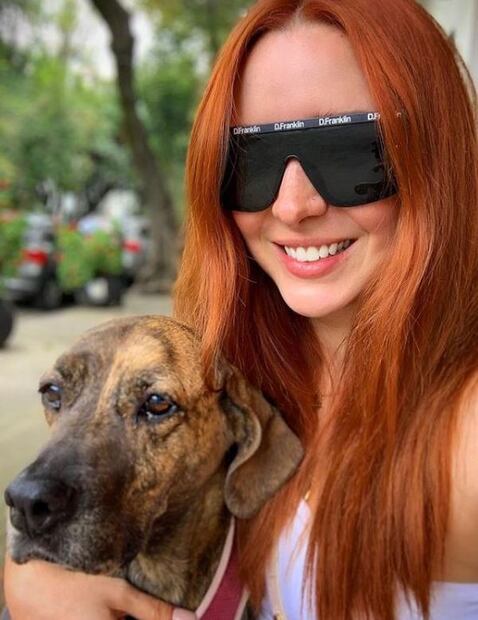 Cocodrilo se come a perrita de la actriz Ariadne Díaz en Puerto Vallarta