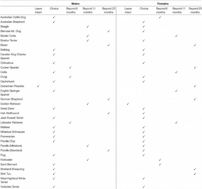 ¿Cuál es la edad ideal para esterilizar a tu perro?
