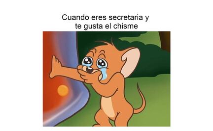 Los 10 mejores memes para celebrar el Día de la Secretaria