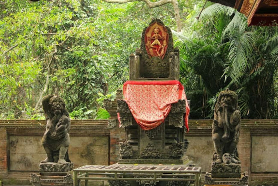 Un recorrido por el templo sagrado de los monos 