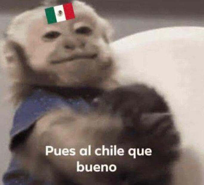 Memes Selección Mexicana y Guillermo Ochoa
