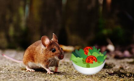 La ciencia explica con ratones cómo podemos evitar atracones y adicciones