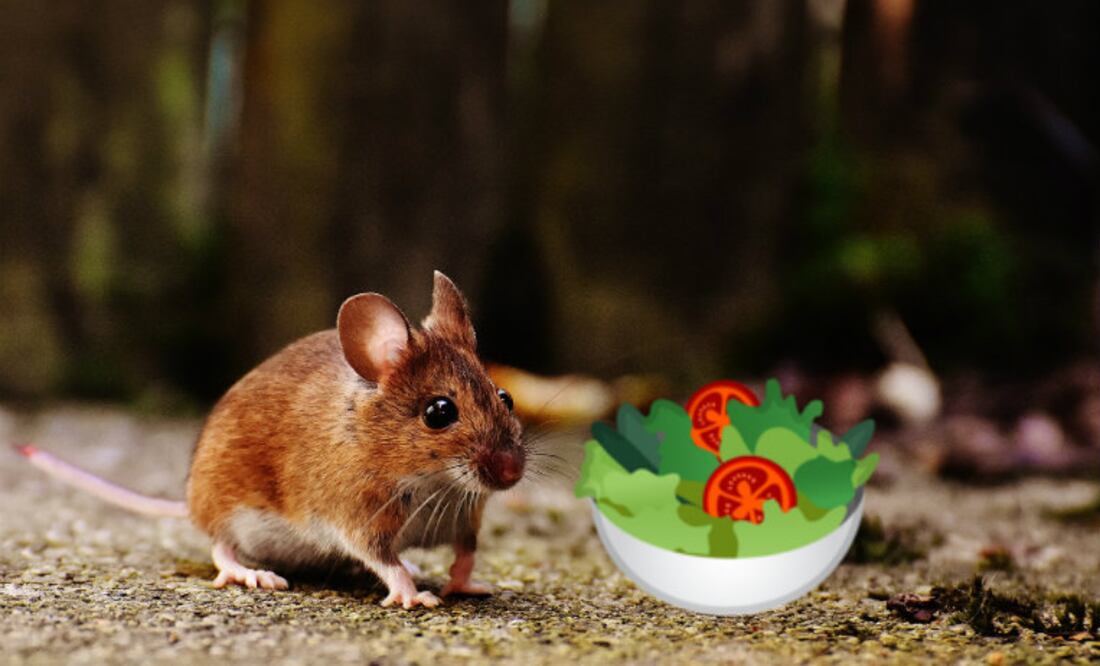 Foto: Pixabay/Emojipedia