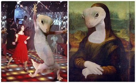 10 increíbles aventuras del gecko que conquistó al Internet