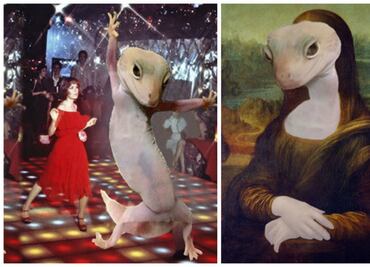 10 increíbles aventuras del gecko que conquistó al Internet