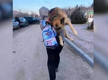 Mujer carga a su perro 17 kms para huir de la guerra en Ucrania